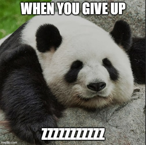 PANDA ZZZ | WHEN YOU GIVE UP; ZZZZZZZZZZZ | image tagged in panda zzz,panda | made w/ Imgflip meme maker