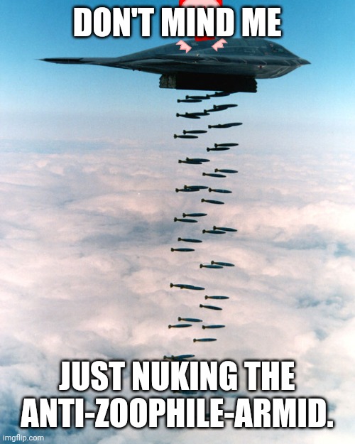 Image tagged in b2 bombing run - Imgflip