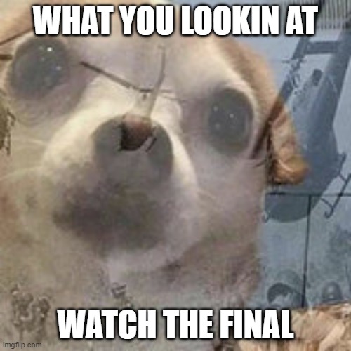 yes | WHAT YOU LOOKIN AT; WATCH THE FINAL | image tagged in vietnam dog flashbacks,world cup | made w/ Imgflip meme maker