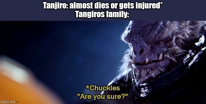 They will not let him do that | Tanjiro: almost dies or gets injured*
Tangiros family: | image tagged in are you sure | made w/ Imgflip meme maker