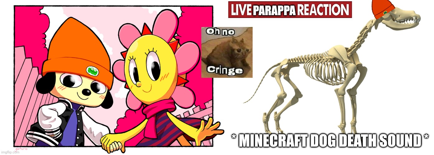 I saw a dog skeleton on the sidewalk wearing a beanie with a laptop with the image on the left | PARAPPA; * MINECRAFT DOG DEATH SOUND * | image tagged in parappa x sunny | made w/ Imgflip meme maker