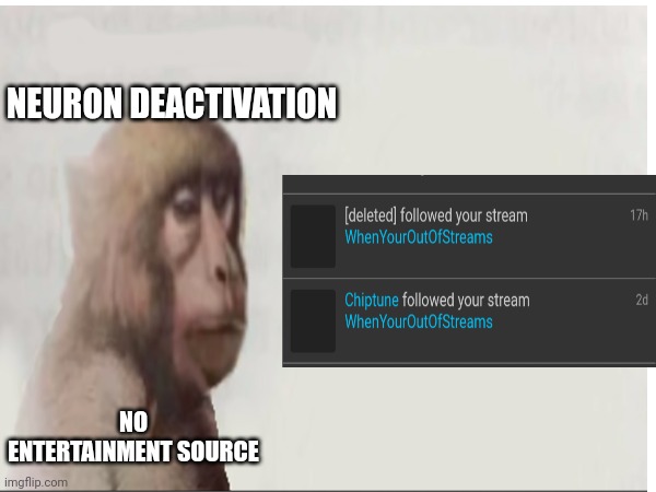 Lolz | NEURON DEACTIVATION; NO ENTERTAINMENT SOURCE | image tagged in monke,meme,memes,fun | made w/ Imgflip meme maker