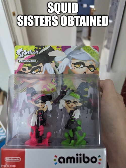 Now I have squid sisters, off the hook, Smallfry, Octoling 3 and Inkling 3n | SQUID SISTERS OBTAINED | made w/ Imgflip meme maker