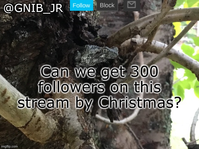 That would be great | Can we get 300 followers on this stream by Christmas? | image tagged in gnib_jr's main template,followers,adhd club,by christmas | made w/ Imgflip meme maker