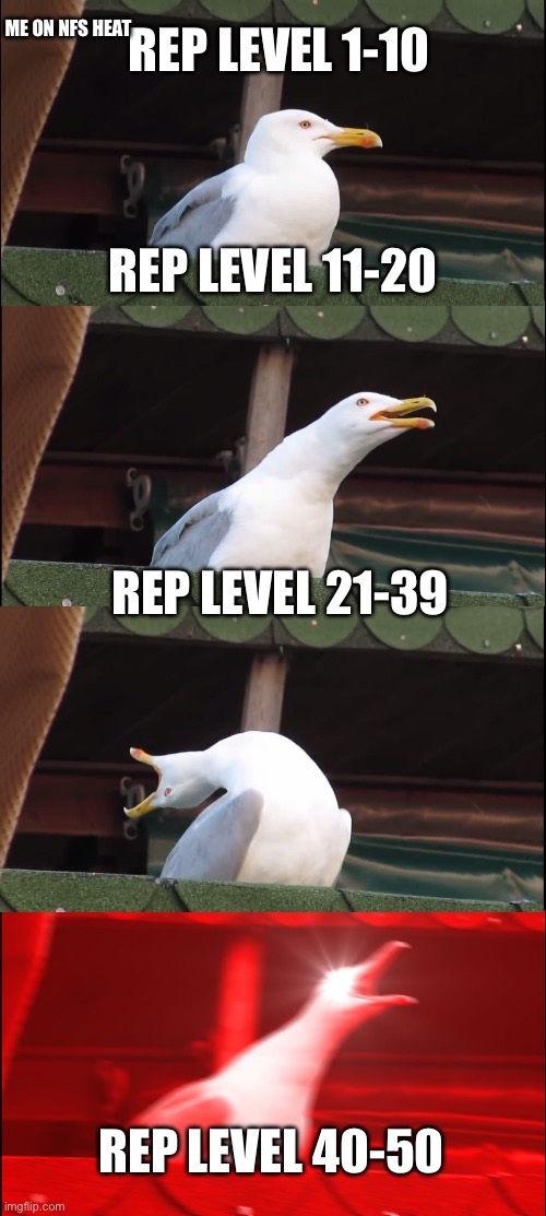 Inhaling Seagull | REP LEVEL 1-10; ME ON NFS HEAT; REP LEVEL 11-20; REP LEVEL 21-39; REP LEVEL 40-50 | image tagged in memes,inhaling seagull | made w/ Imgflip meme maker