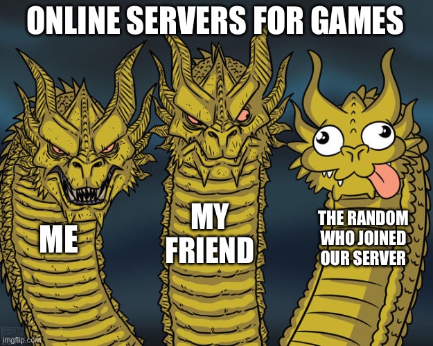 Every game | ONLINE SERVERS FOR GAMES; MY FRIEND; THE RANDOM WHO JOINED OUR SERVER; ME | image tagged in three-headed dragon,gaming,video games,videogames | made w/ Imgflip meme maker