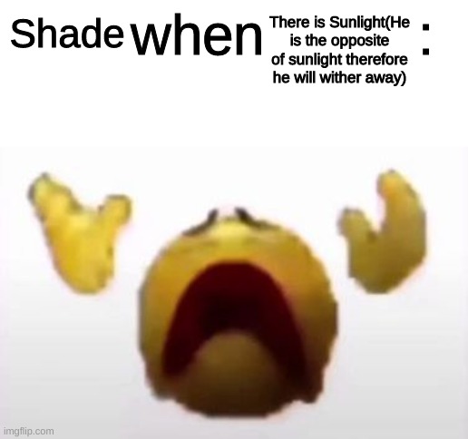 User When Offended: | There is Sunlight(He is the opposite of sunlight therefore he will wither away); Shade | image tagged in user when offended | made w/ Imgflip meme maker