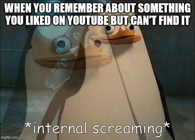 You will find it someday | WHEN YOU REMEMBER ABOUT SOMETHING YOU LIKED ON YOUTUBE BUT CAN'T FIND IT | image tagged in private internal screaming | made w/ Imgflip meme maker