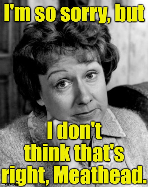 Edith Bunker | I'm so sorry, but I don't think that's right, Meathead. | image tagged in edith bunker | made w/ Imgflip meme maker