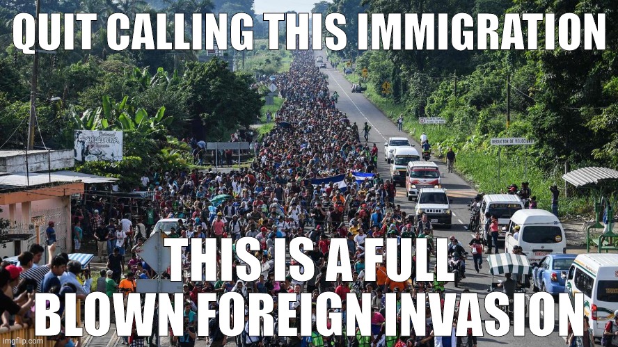 Don't confuse the two. | QUIT CALLING THIS IMMIGRATION; THIS IS A FULL BLOWN FOREIGN INVASION | image tagged in memes | made w/ Imgflip meme maker