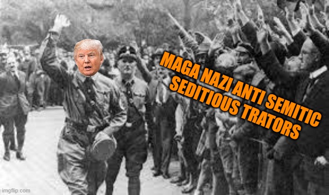 Nazi Germany Approves | MAGA NAZI ANTI SEMITIC 
SEDITIOUS TRATORS | image tagged in nazi germany approves | made w/ Imgflip meme maker