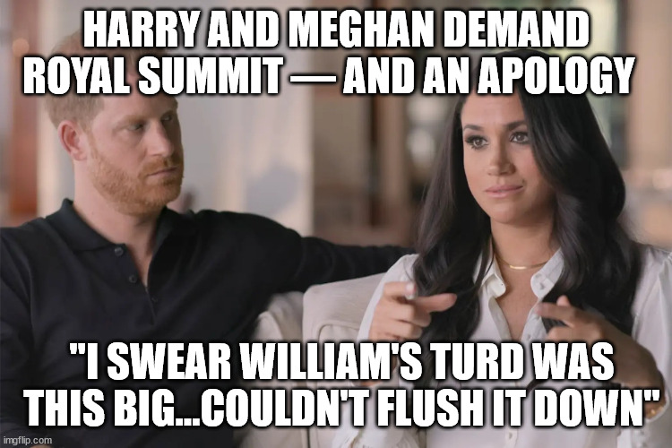 Harry and Megan | HARRY AND MEGHAN DEMAND ROYAL SUMMIT — AND AN APOLOGY; "I SWEAR WILLIAM'S TURD WAS THIS BIG...COULDN'T FLUSH IT DOWN" | image tagged in harry and megan | made w/ Imgflip meme maker