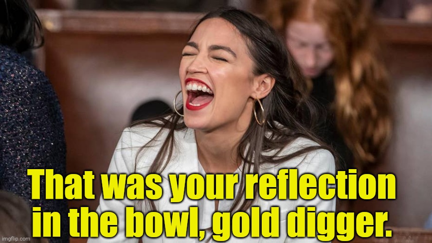 aoc Braying donkey-style | That was your reflection in the bowl, gold digger. | image tagged in aoc braying donkey-style | made w/ Imgflip meme maker