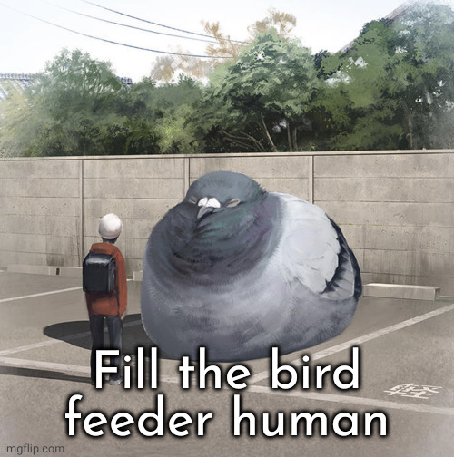 Beeg Birb | Fill the bird feeder human | image tagged in beeg birb | made w/ Imgflip meme maker