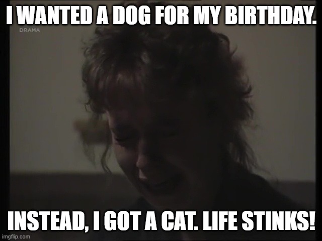 Cat Instead of Dog | I WANTED A DOG FOR MY BIRTHDAY. INSTEAD, I GOT A CAT. LIFE STINKS! | image tagged in michelle fowler crying | made w/ Imgflip meme maker