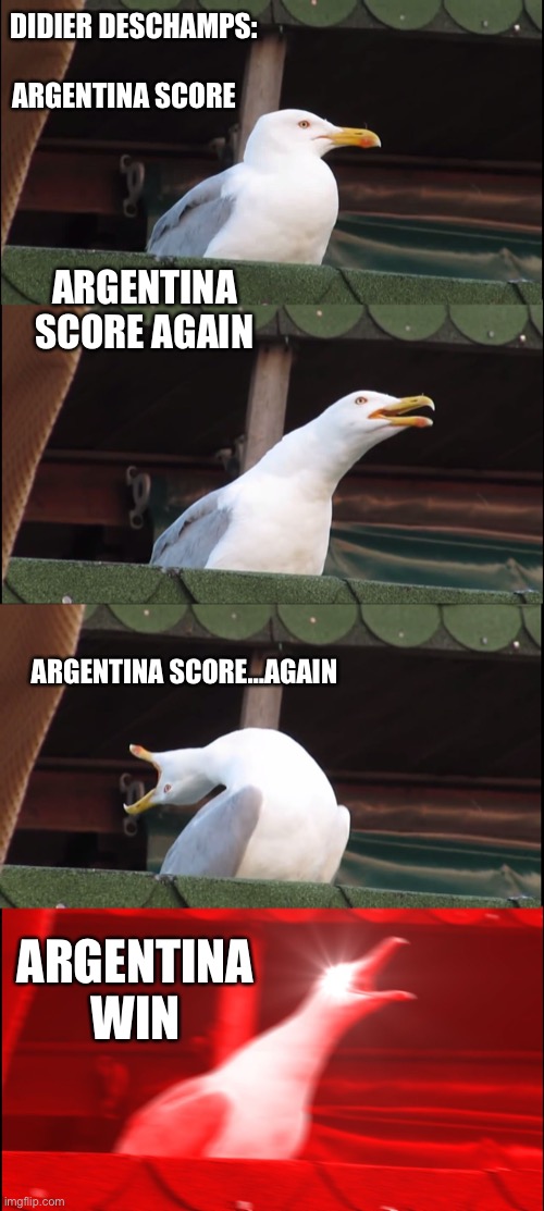 World cup | DIDIER DESCHAMPS:; ARGENTINA SCORE; ARGENTINA SCORE AGAIN; ARGENTINA SCORE…AGAIN; ARGENTINA WIN | image tagged in memes,inhaling seagull | made w/ Imgflip meme maker