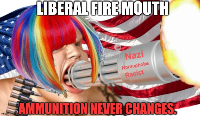 Liberal fire mouth | LIBERAL FIRE MOUTH; AMMUNITION NEVER CHANGES. | image tagged in liberal logic,triggered liberal,free speech,gun control,nazis,homophobe | made w/ Imgflip meme maker