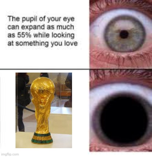 Sheeeshhh! What's your opinion about winning Argentina?? | image tagged in your eye will expand,memes,sports,world cup,argentina | made w/ Imgflip meme maker
