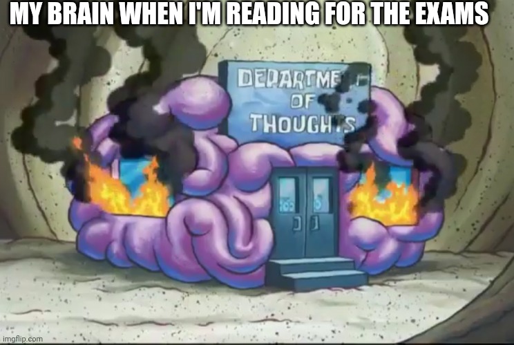 This is definitely a summer joke | MY BRAIN WHEN I'M READING FOR THE EXAMS | image tagged in brain fire,exams,brain cells,memes,funny memes | made w/ Imgflip meme maker