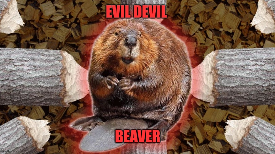 Evil beaver | EVIL DEVIL; BEAVER | image tagged in evil beaver | made w/ Imgflip meme maker