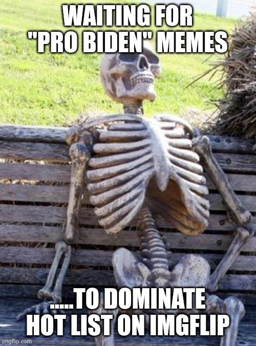 81m votes......really? | WAITING FOR "PRO BIDEN" MEMES; .....TO DOMINATE HOT LIST ON IMGFLIP | image tagged in memes,waiting skeleton | made w/ Imgflip meme maker