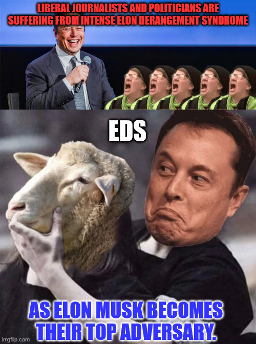 EDS discovered after Elon takes over Twitter and releases the truth... | LIBERAL JOURNALISTS AND POLITICIANS ARE SUFFERING FROM INTENSE ELON DERANGEMENT SYNDROME; EDS; AS ELON MUSK BECOMES THEIR TOP ADVERSARY. | image tagged in elon musk,triggered,liberals | made w/ Imgflip meme maker