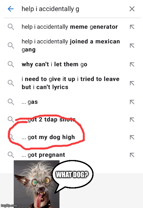 Help | WHAT DOG? | image tagged in help i accidentally,dogs,funny,crazy | made w/ Imgflip meme maker