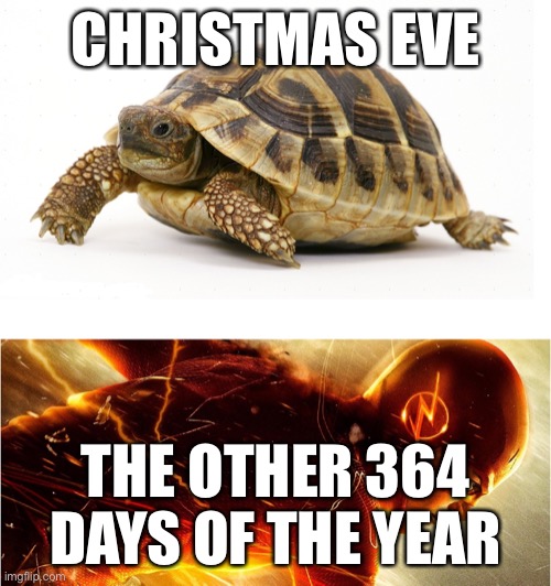 Christmas Eve? More like Time Warp Day! | CHRISTMAS EVE; THE OTHER 364 DAYS OF THE YEAR | image tagged in slow vs fast meme,christmas,relatable,time | made w/ Imgflip meme maker
