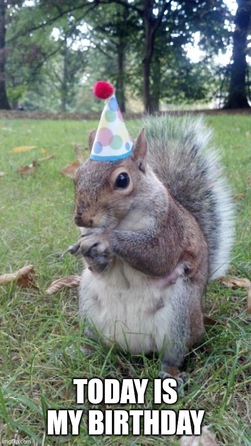E | TODAY IS MY BIRTHDAY | image tagged in memes,super birthday squirrel | made w/ Imgflip meme maker