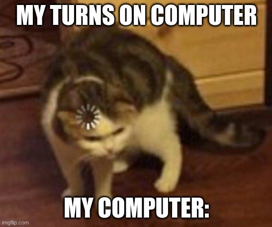 computer is loading | MY TURNS ON COMPUTER; MY COMPUTER: | image tagged in loading cat | made w/ Imgflip meme maker