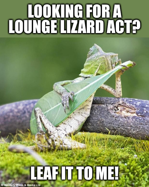 That pun was cold-blooded | LOOKING FOR A LOUNGE LIZARD ACT? LEAF IT TO ME! | image tagged in lizard music | made w/ Imgflip meme maker