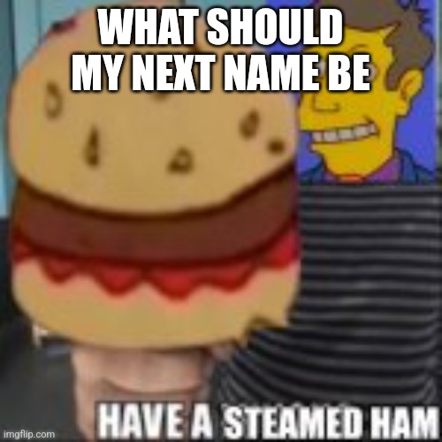 Have a steamed ham | WHAT SHOULD MY NEXT NAME BE | image tagged in have a steamed ham | made w/ Imgflip meme maker