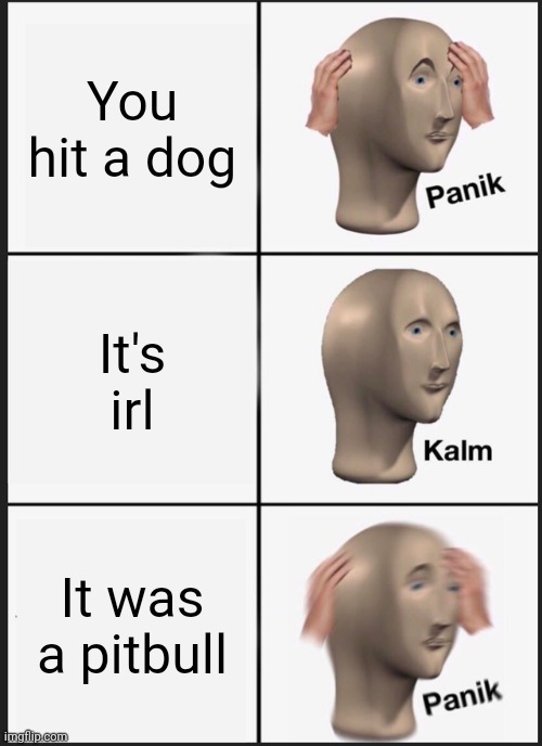 Panik Kalm Panik | You hit a dog; It's irl; It was a pitbull | image tagged in memes,panik kalm panik | made w/ Imgflip meme maker