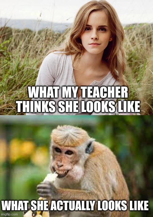 School do be like | WHAT MY TEACHER THINKS SHE LOOKS LIKE; WHAT SHE ACTUALLY LOOKS LIKE | image tagged in school,meme | made w/ Imgflip meme maker