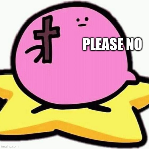 Christian Kirbo | PLEASE NO | image tagged in christian kirbo | made w/ Imgflip meme maker
