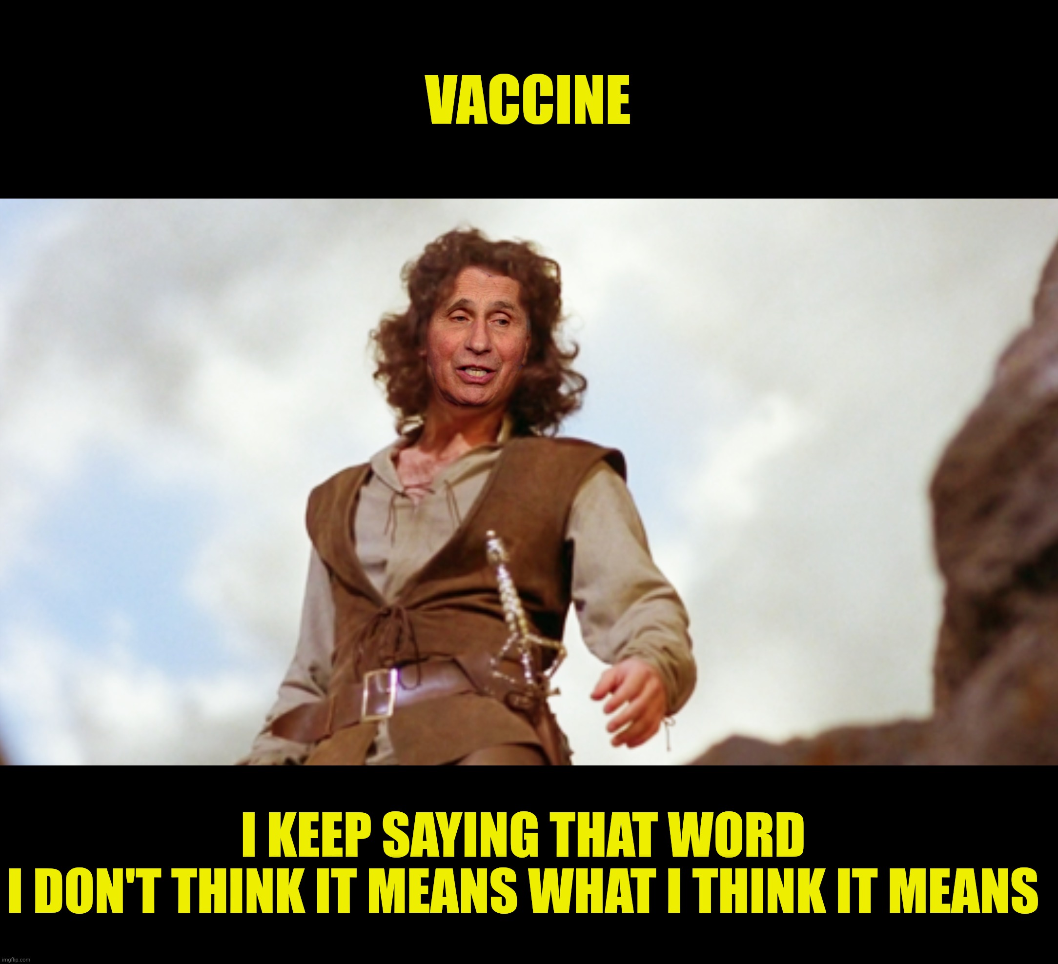 VACCINE I KEEP SAYING THAT WORD 
I DON'T THINK IT MEANS WHAT I THINK IT MEANS | made w/ Imgflip meme maker