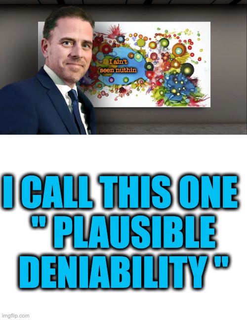 Plausible Deniability | I ain't seen nuthin; I CALL THIS ONE 
" PLAUSIBLE DENIABILITY " | image tagged in fraudster,embezzelment,bribery,laundering | made w/ Imgflip meme maker