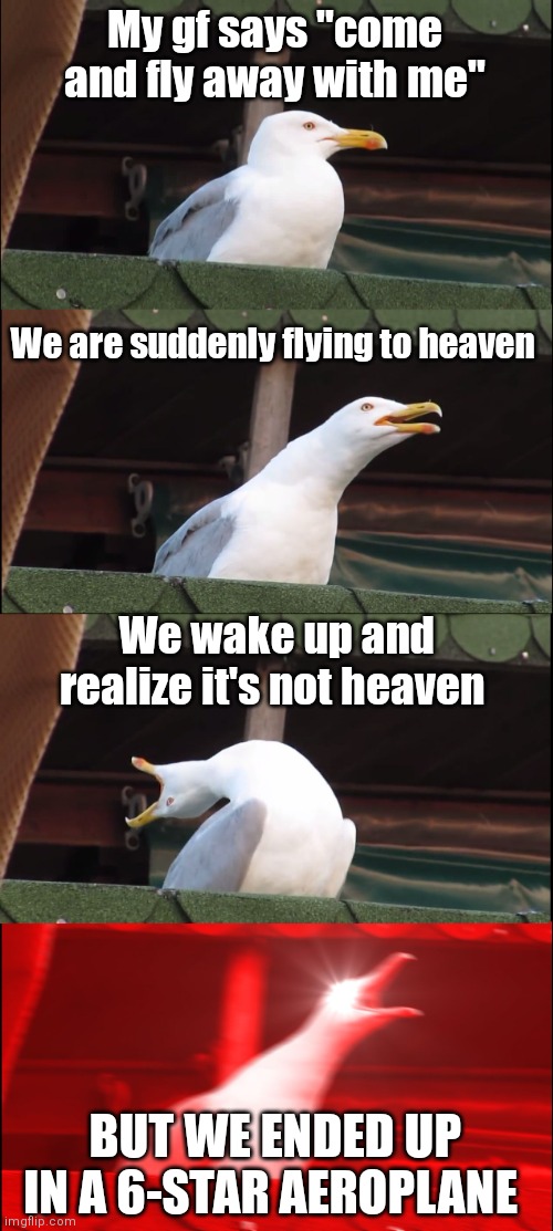 Couple lore | My gf says "come and fly away with me"; We are suddenly flying to heaven; We wake up and realize it's not heaven; BUT WE ENDED UP IN A 6-STAR AEROPLANE | image tagged in memes,inhaling seagull | made w/ Imgflip meme maker