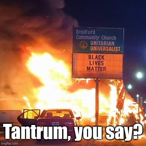Black Lives Matter | Tantrum, you say? | image tagged in black lives matter | made w/ Imgflip meme maker