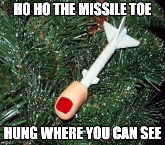 Holly Jolly Christmas | HO HO THE MISSILE TOE; HUNG WHERE YOU CAN SEE | image tagged in eyeroll | made w/ Imgflip meme maker