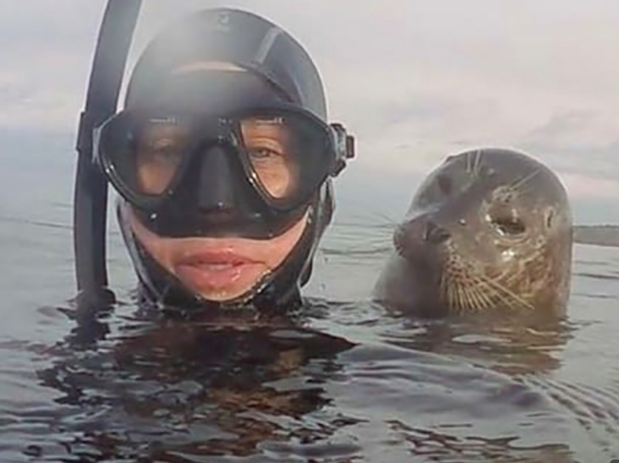 seal and boy Blank Meme Template