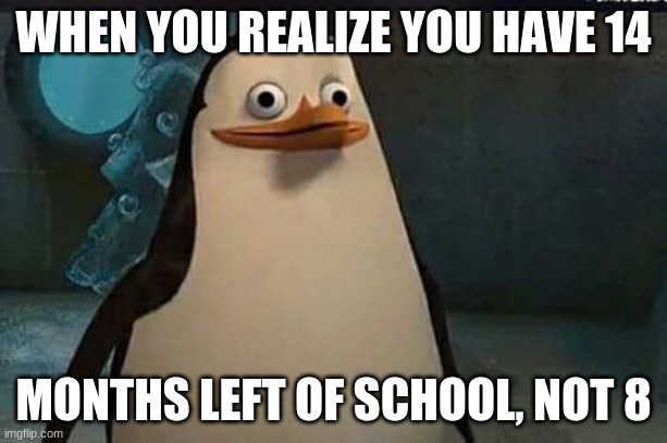 Madagascar penguin | WHEN YOU REALIZE YOU HAVE 14; MONTHS LEFT OF SCHOOL, NOT 8 | image tagged in madagascar penguin | made w/ Imgflip meme maker