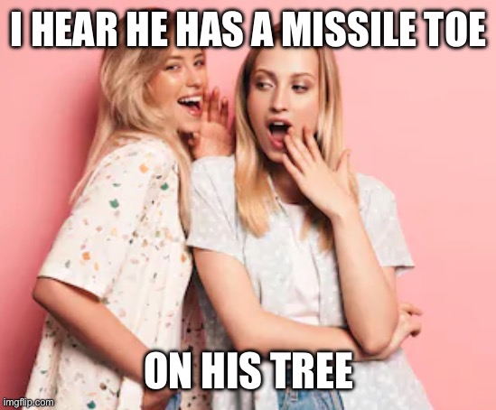 Missile Toe | I HEAR HE HAS A MISSILE TOE; ON HIS TREE | image tagged in two blondes gossiping | made w/ Imgflip meme maker