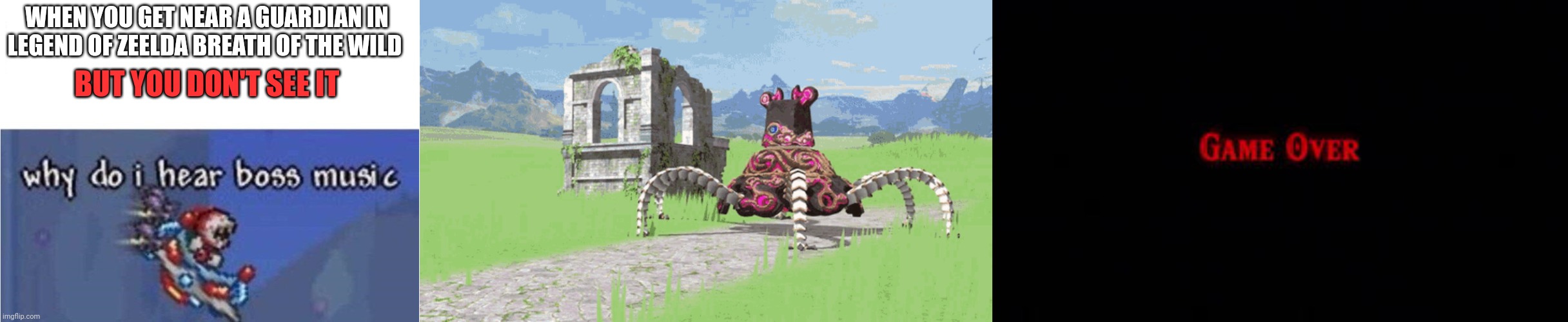 :Insert Guardian Berserker music: | WHEN YOU GET NEAR A GUARDIAN IN LEGEND OF ZEELDA BREATH OF THE WILD; BUT YOU DON'T SEE IT | image tagged in why do i hear boss music | made w/ Imgflip meme maker