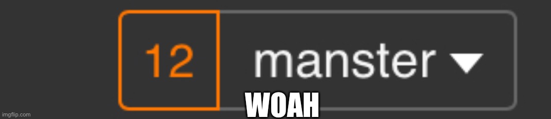 Wahoo! | WOAH | image tagged in imgflip | made w/ Imgflip meme maker