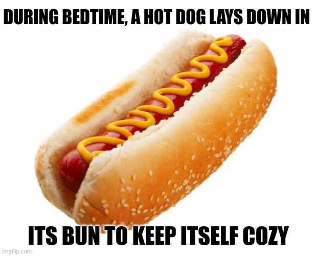 The hot dog | DURING BEDTIME, A HOT DOG LAYS DOWN IN; ITS BUN TO KEEP ITSELF COZY | image tagged in hot dog,hot dogs,funny,memes,blank white template,change my mind | made w/ Imgflip meme maker