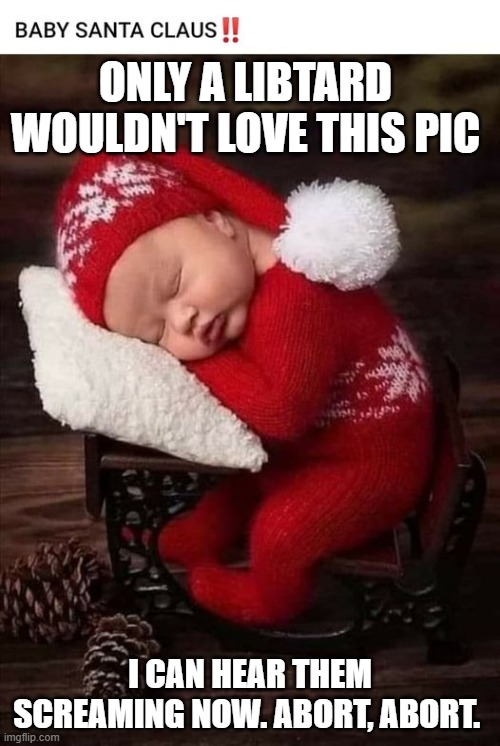Baby Santa Clause | ONLY A LIBTARD WOULDN'T LOVE THIS PIC; I CAN HEAR THEM SCREAMING NOW. ABORT, ABORT. | image tagged in baby santa clause | made w/ Imgflip meme maker
