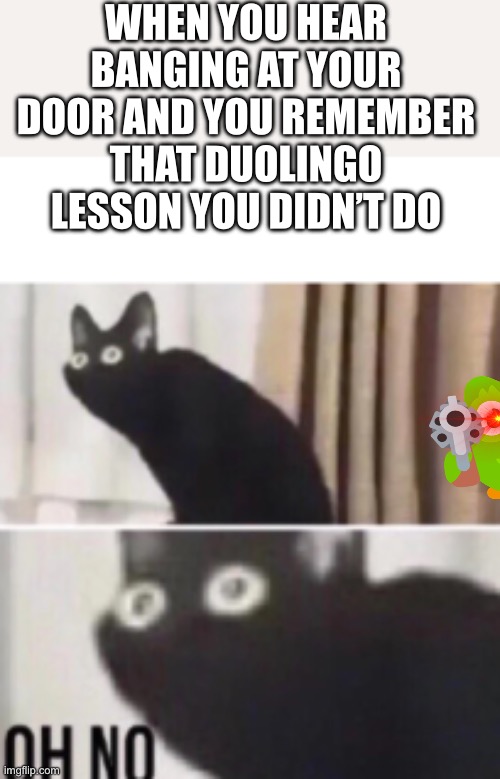 Oh no cat | WHEN YOU HEAR BANGING AT YOUR DOOR AND YOU REMEMBER THAT DUOLINGO LESSON YOU DIDN’T DO | image tagged in oh no cat | made w/ Imgflip meme maker