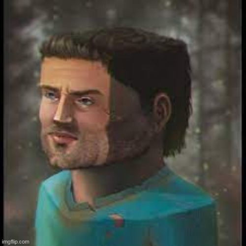 realistic steve | image tagged in realistic steve | made w/ Imgflip meme maker
