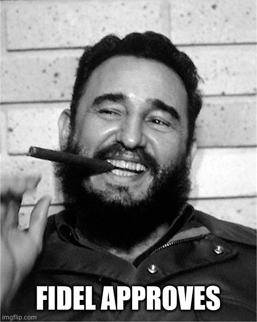 Fidel Castro | FIDEL APPROVES | image tagged in fidel castro | made w/ Imgflip meme maker
